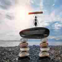 网‌站‌排﻿名﻿软‌件‌